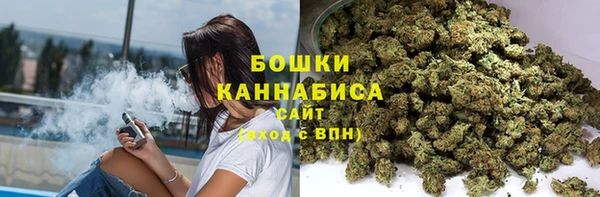 шишки Болотное