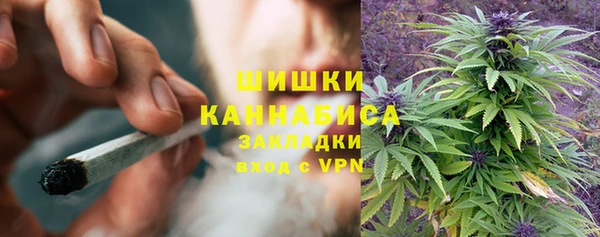 прущие грибы Нея