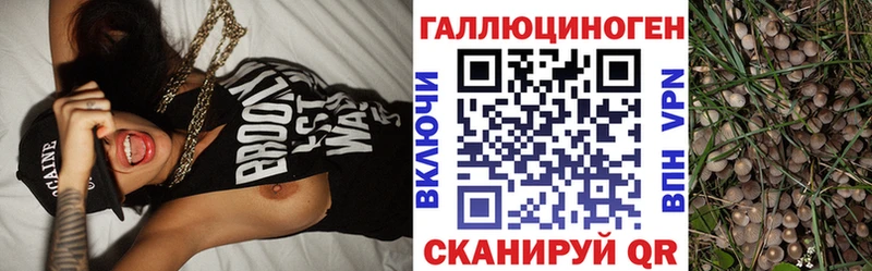 как найти   mega   Псилоцибиновые грибы Cubensis  Ртищево 