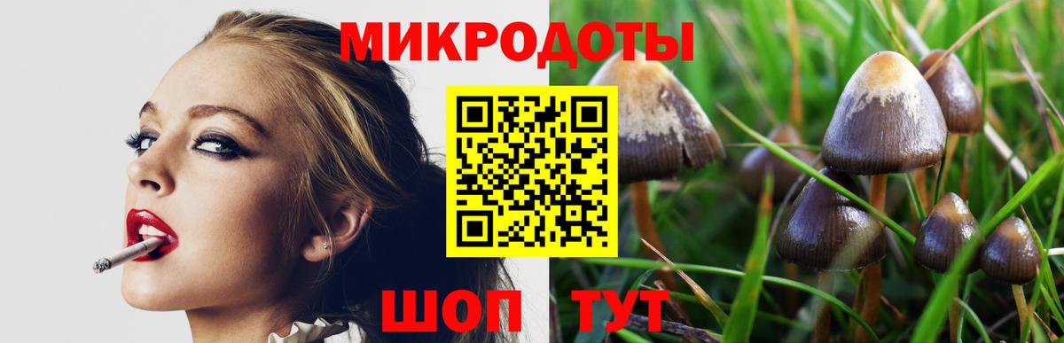 Галлюциногенные грибы Cubensis  Вход с VPN  Ртищево  Псилоцибиновые грибы MAGIC MUSHROOMS 